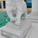 沈阳 白麻花岗岩动物异形石雕-大象