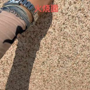 沈阳黄金麻火烧面