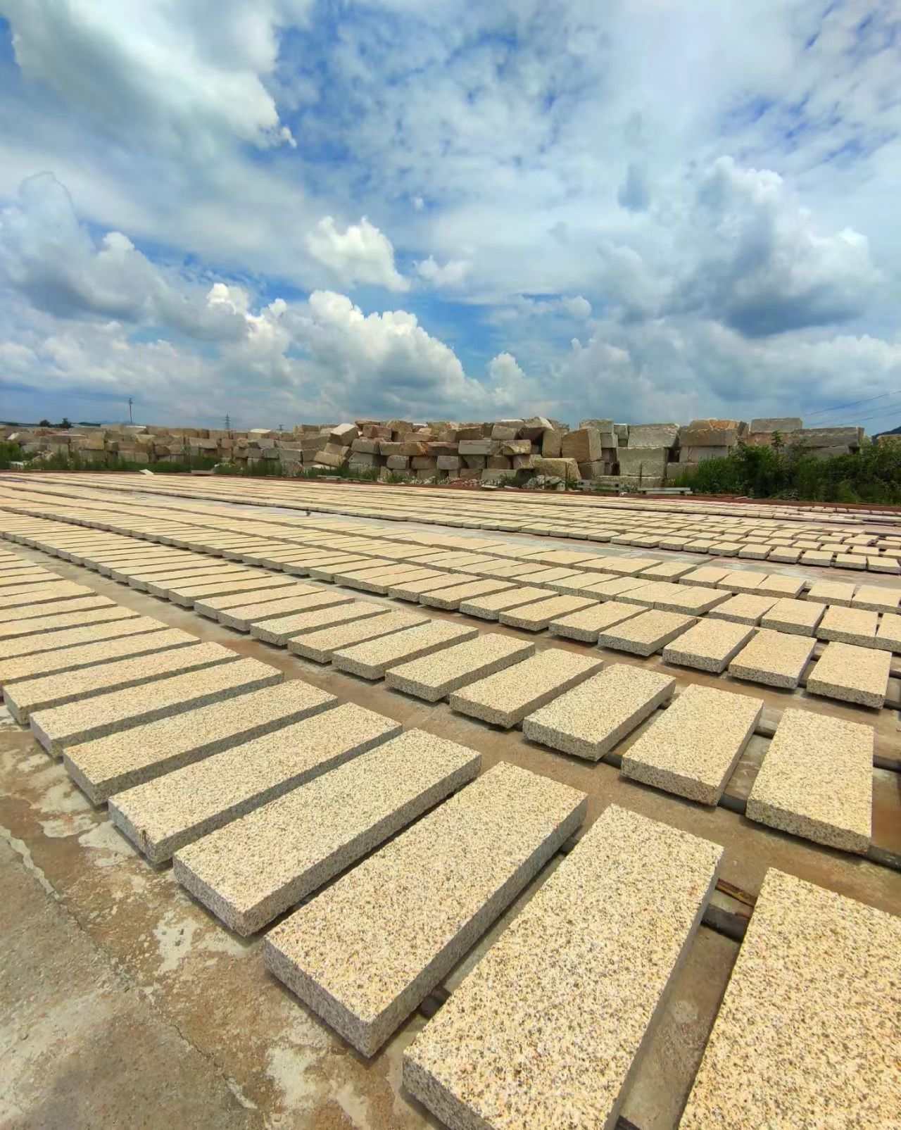 沈阳 黄金麻花岗岩荔枝面地铺石防护中